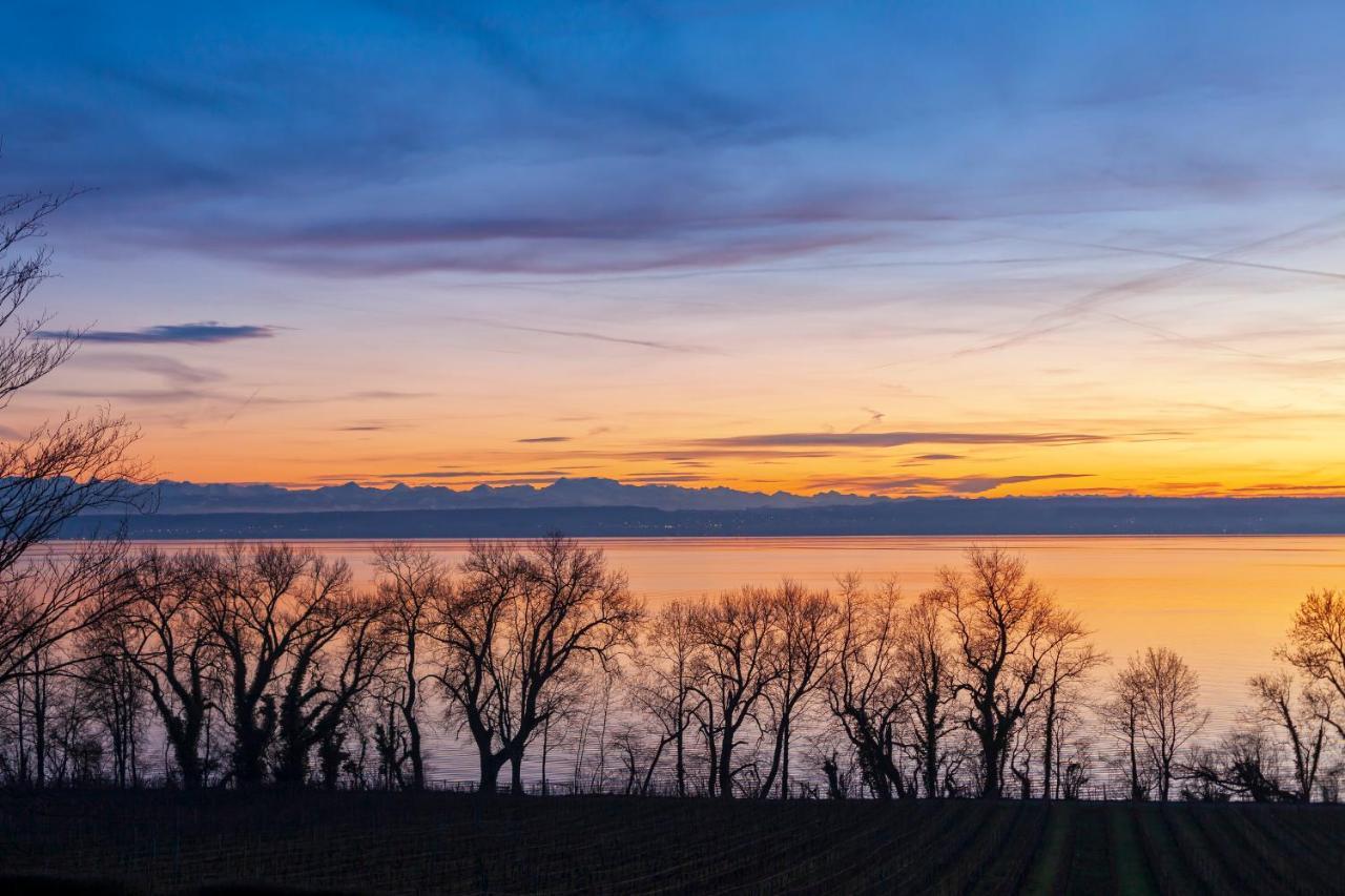 Rosenhof Lejlighed Stetten (Bodensee)